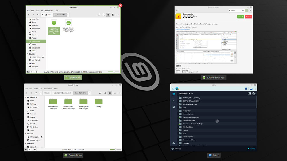 Linux Mint 21 Scale and Expo window views