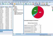 IBM SPSS - Professional statistical and data analysis software