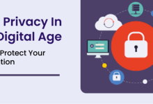 Safeguarding Personal Data Privacy in the Digital Age
