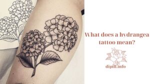 What does a hydrangea tattoo mean?